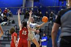 WBBall vs WPI  Wheaton College women's basketball vs WPI. - Photo By: KEITH NORDSTROM : Wheaton, basketball